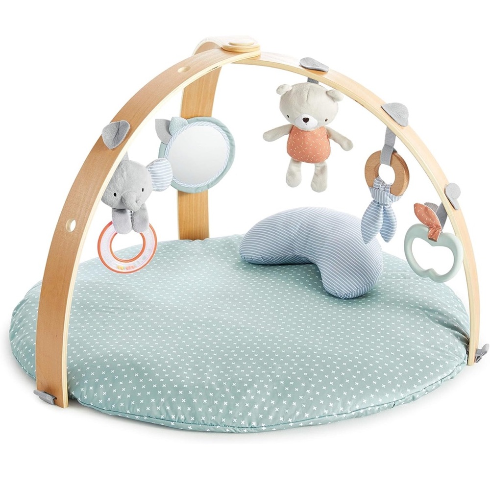 Play Mat and activity gym